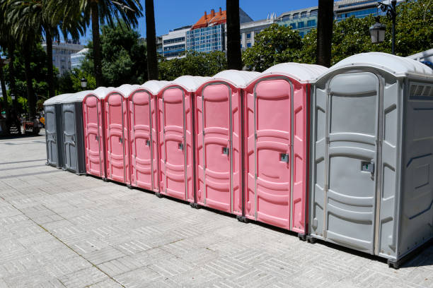 Best Portable Toilets with Baby Changing Stations  in North Catasauqua, PA